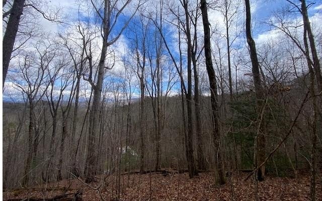 Residential Lot in Morgan Creek