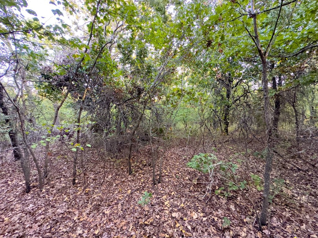 Picture 12