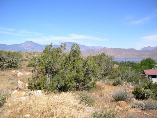 Picture 5