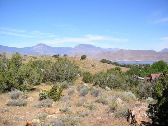 Picture 6