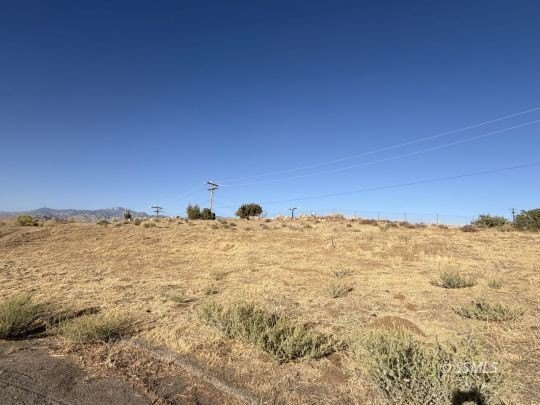 Picture 15