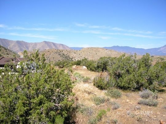 Picture 10