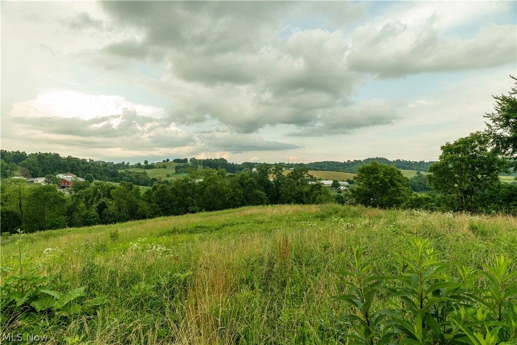 Picture 8