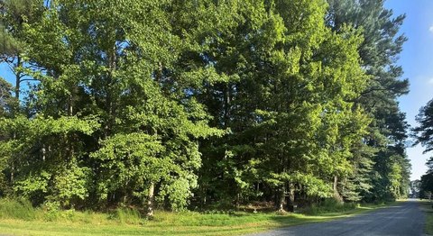 Land, GREENBACKVILLE, VA