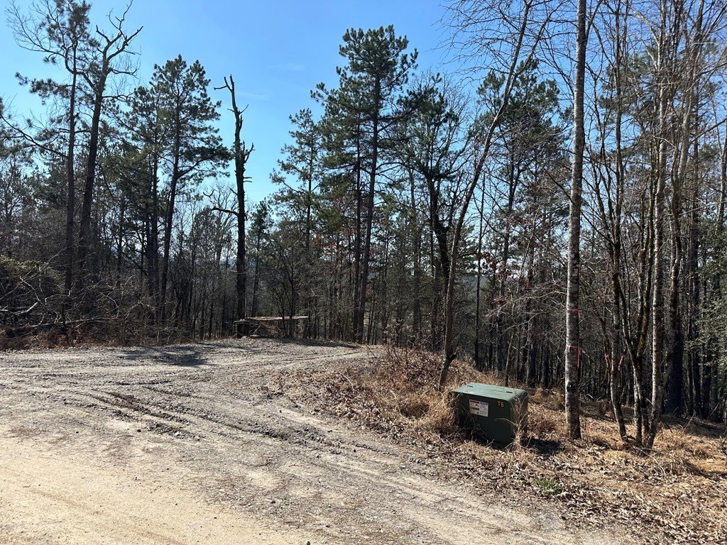Picture 19