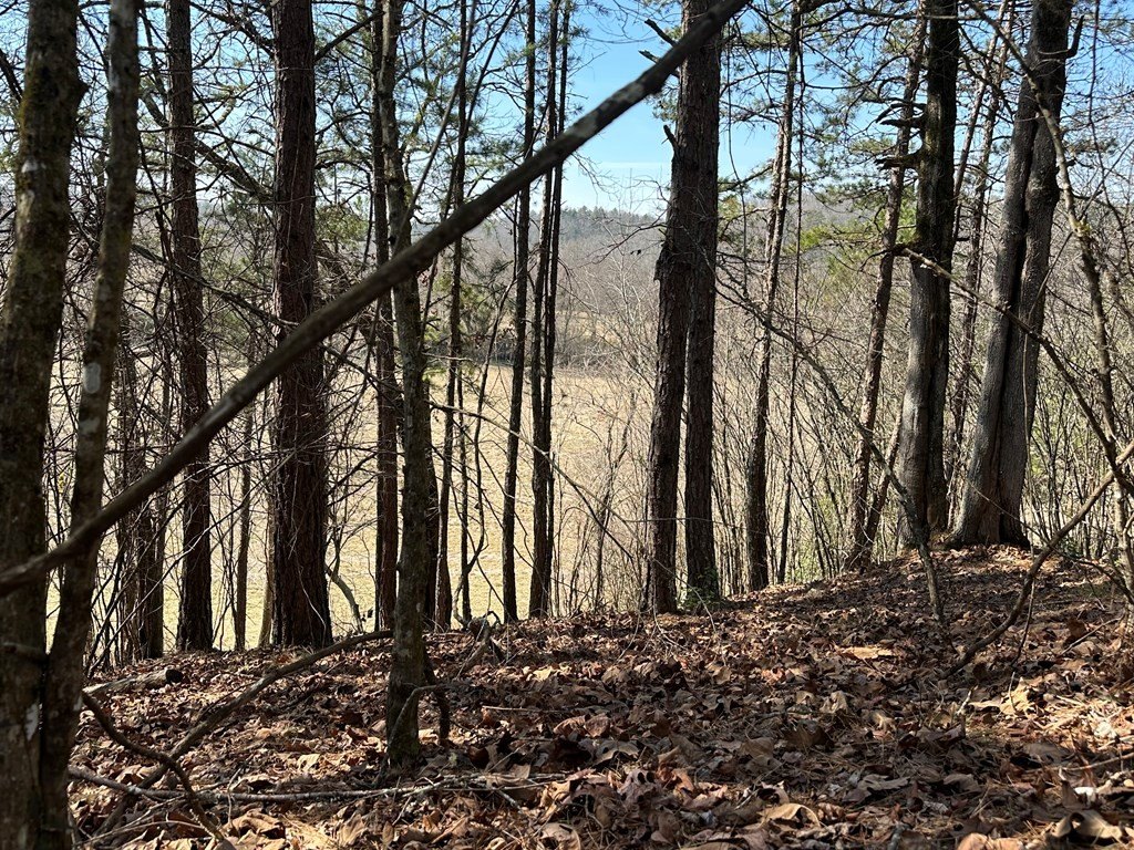 Picture 12