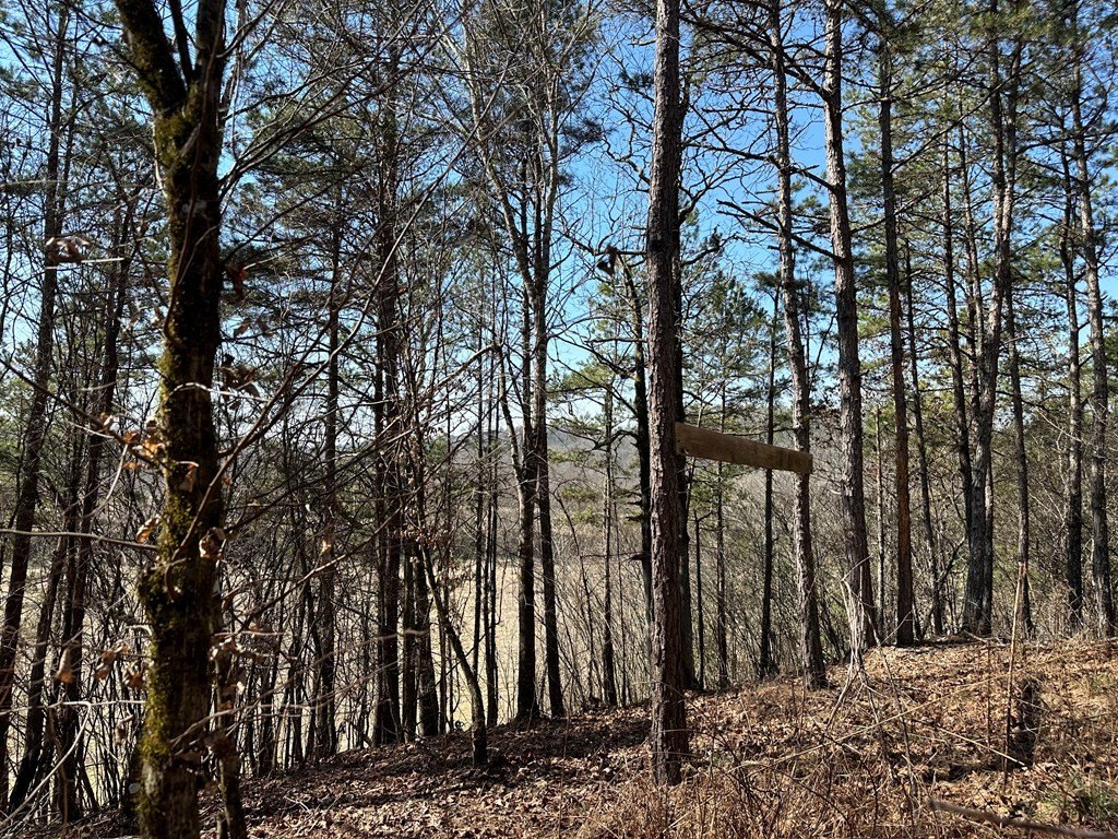 Picture 10