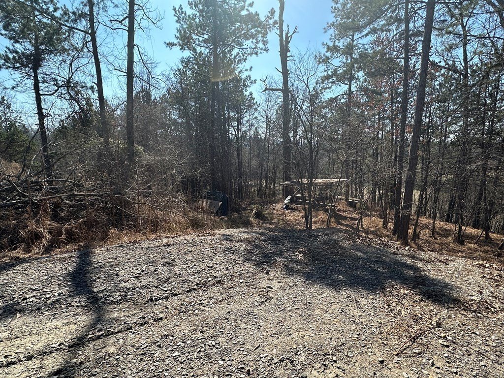 Picture 17