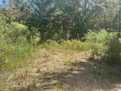 LAND/LOTS, NAUVOO, AL