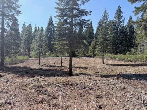 Lake Almanor Buildable Lot