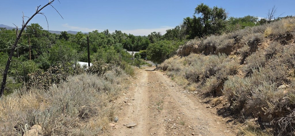 Picture 30