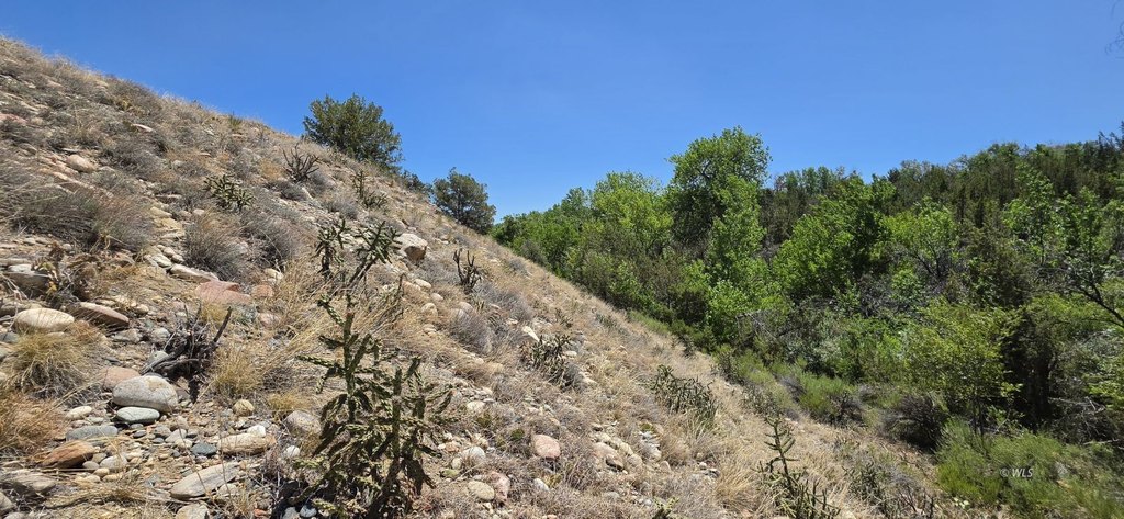 Picture 28