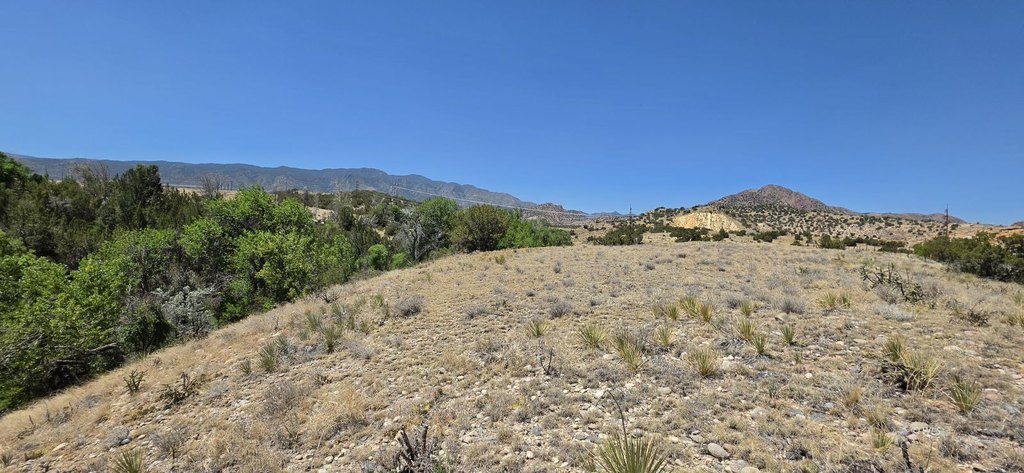 Picture 17