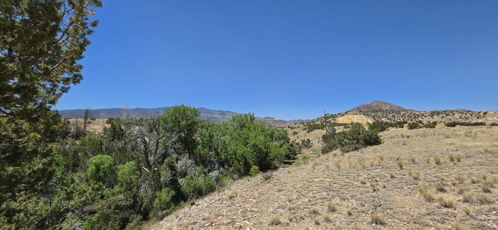 Picture 15