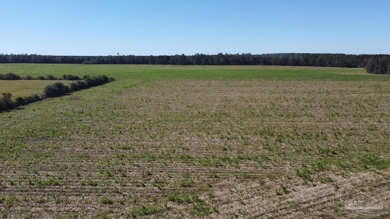 101+/- Acre Land Tract