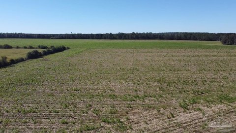 101+/- Acre Land Tract