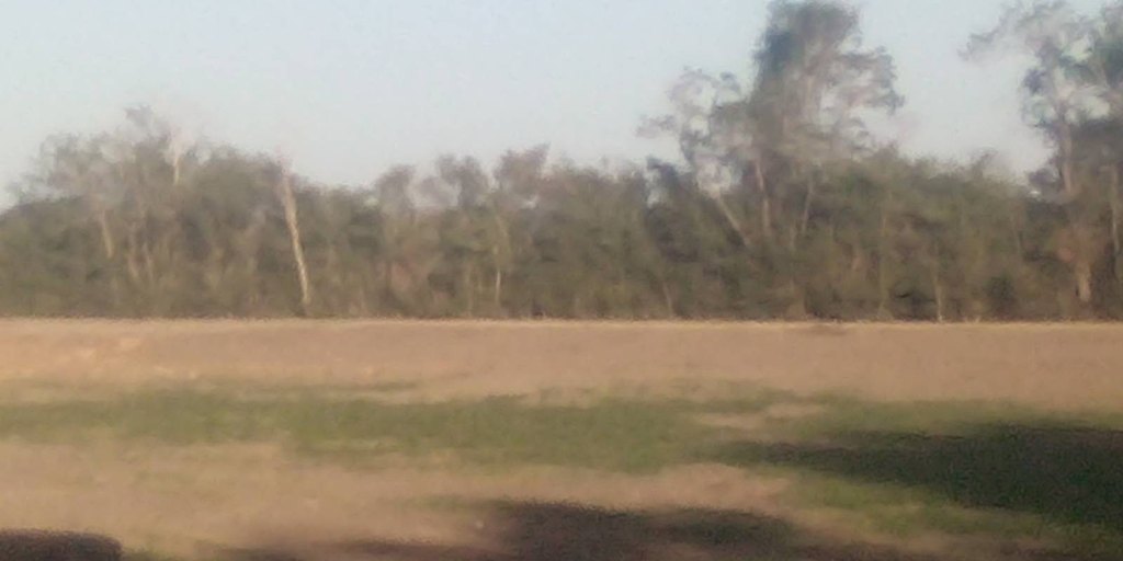 Picture 6