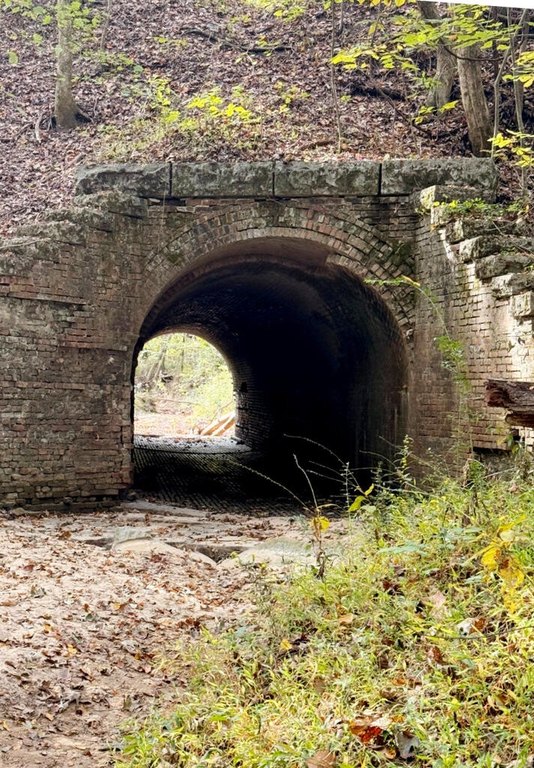 Picture 8