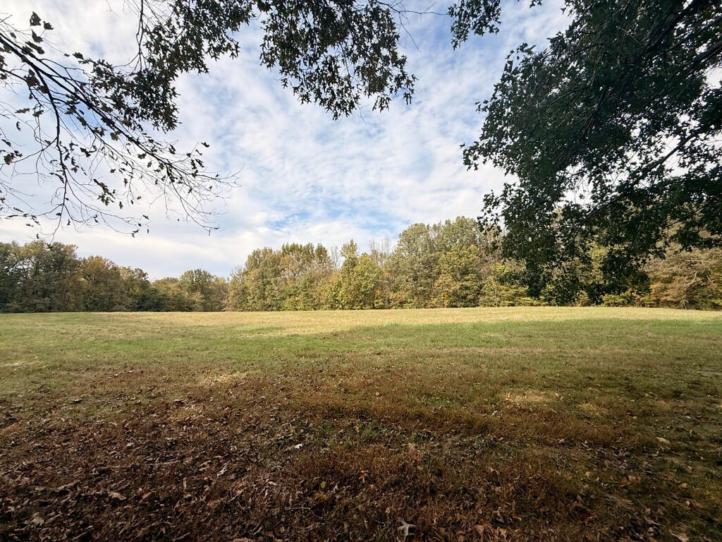 Picture 4