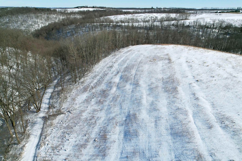 Picture 28