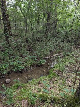 Vacant Land, Hot Springs Village, AR