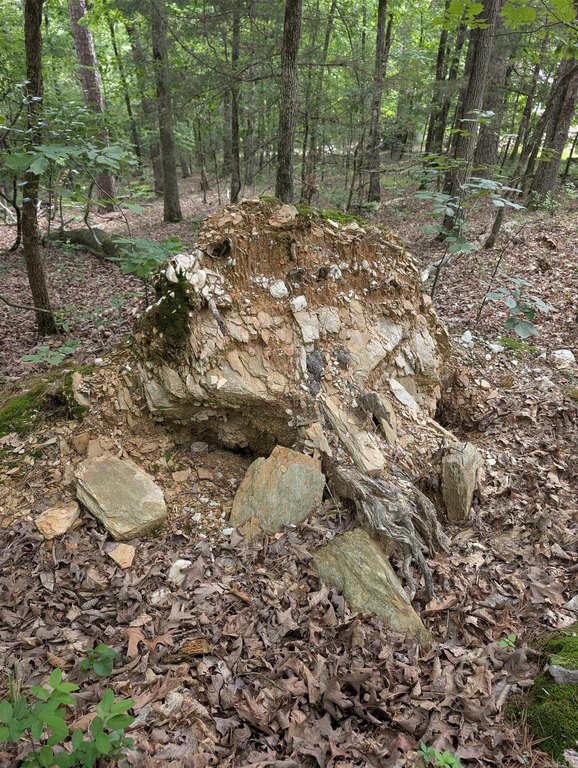 Picture 5