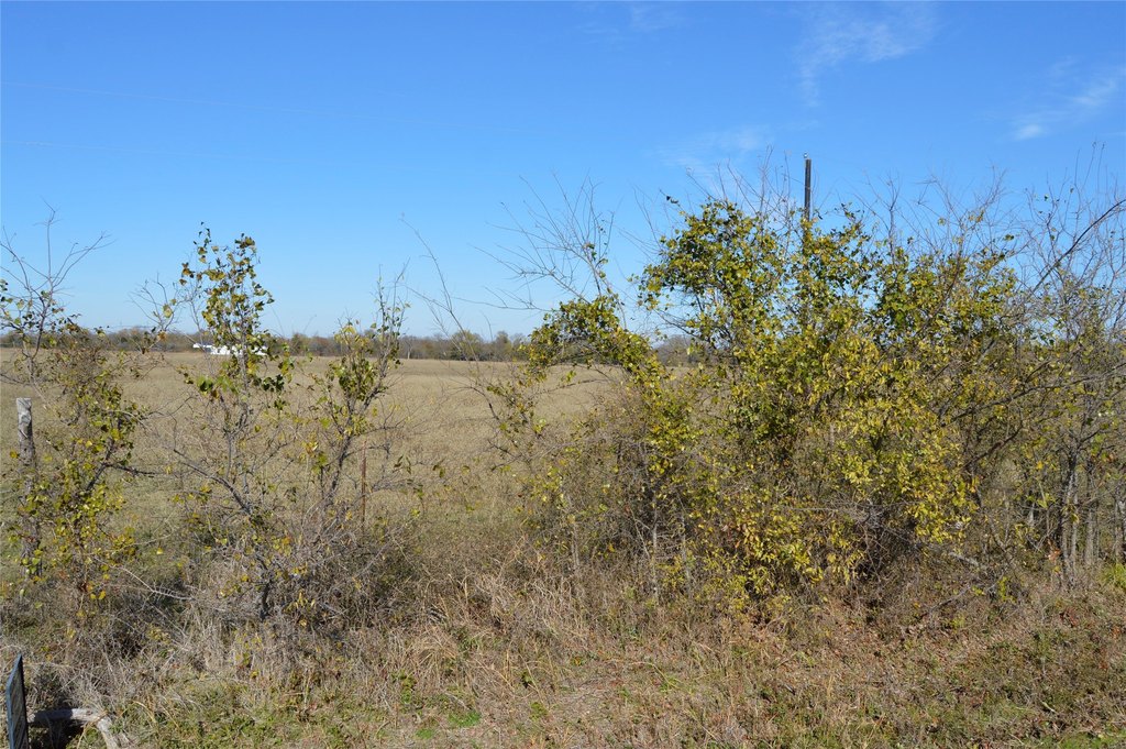 Picture 31