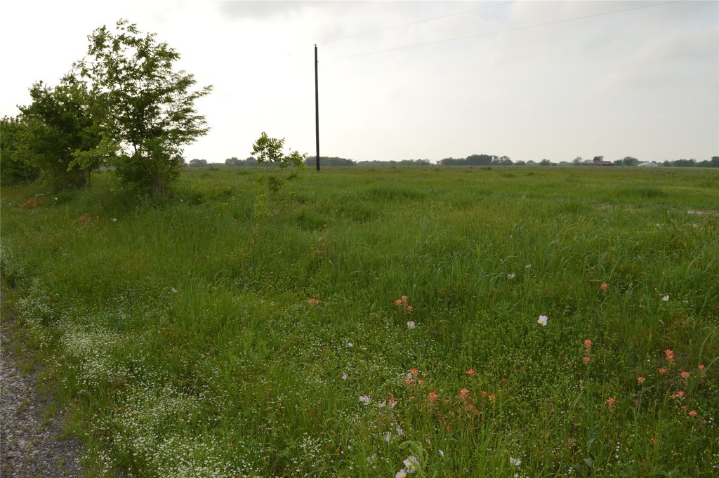 Picture 34