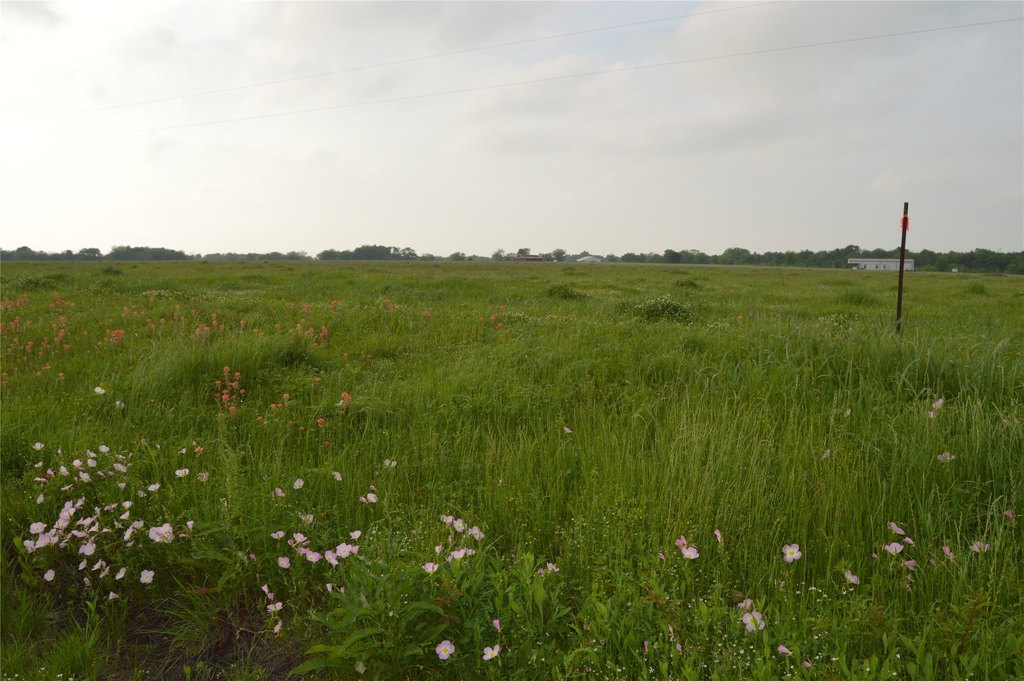 Picture 39