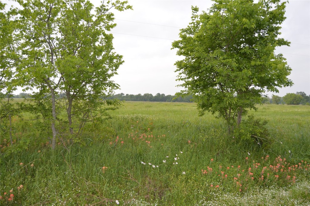 Picture 32