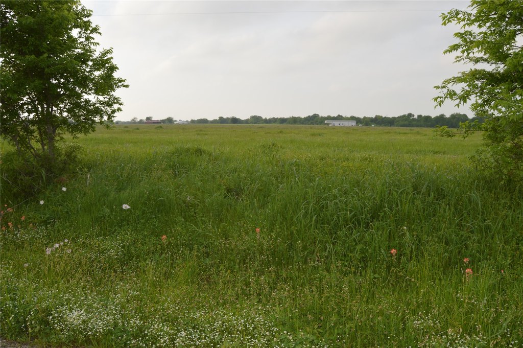 Picture 33