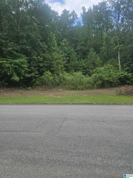 LAND - CHELSEA, AL
