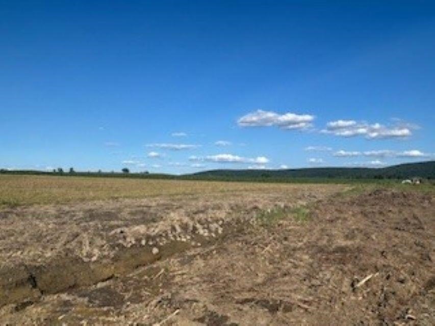 Picture 29