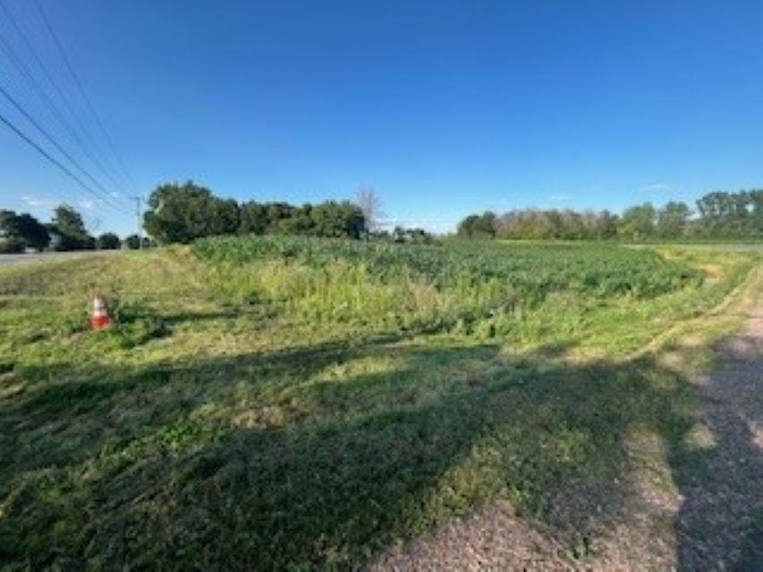 Picture 15