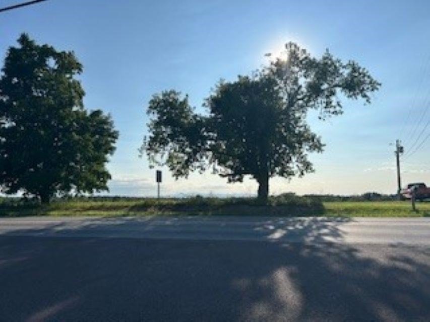 Picture 17