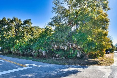 Apalachicola Corner Lot Homesite