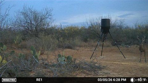 South Texas Ranch With Seasonal Pond