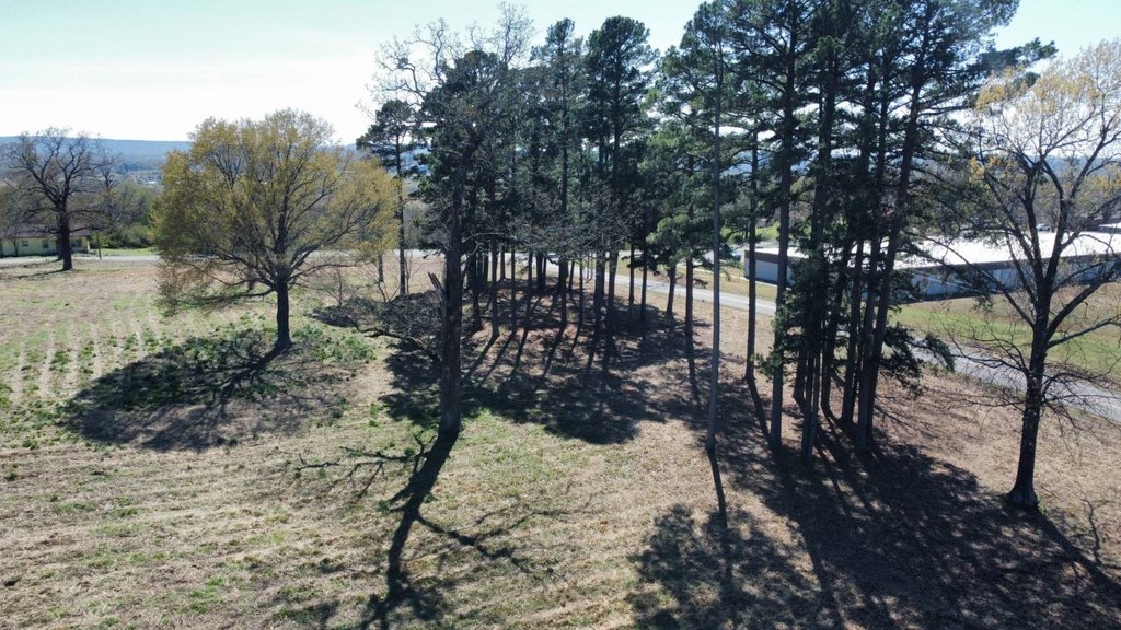 Picture 10