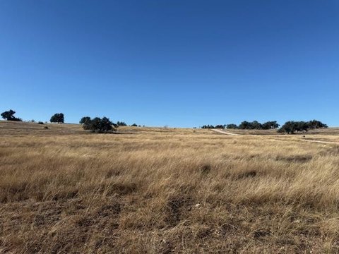 Land, Fredericksburg, TX