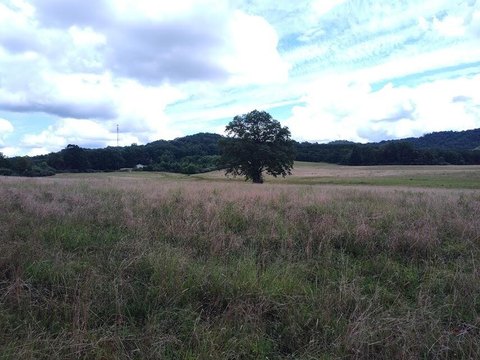 Rare Acreage in Morehead, KY