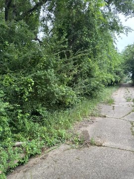 Land in Camden, Arkansas