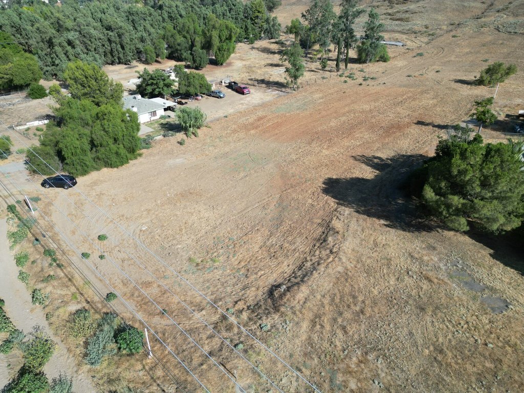Picture 10