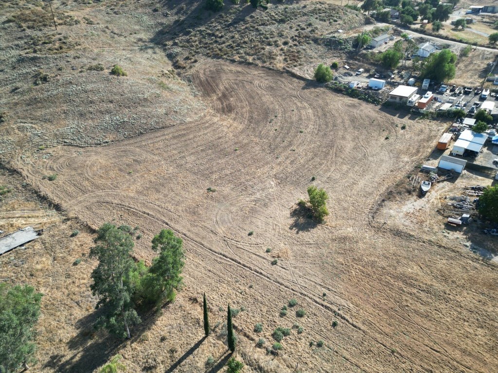 Picture 15