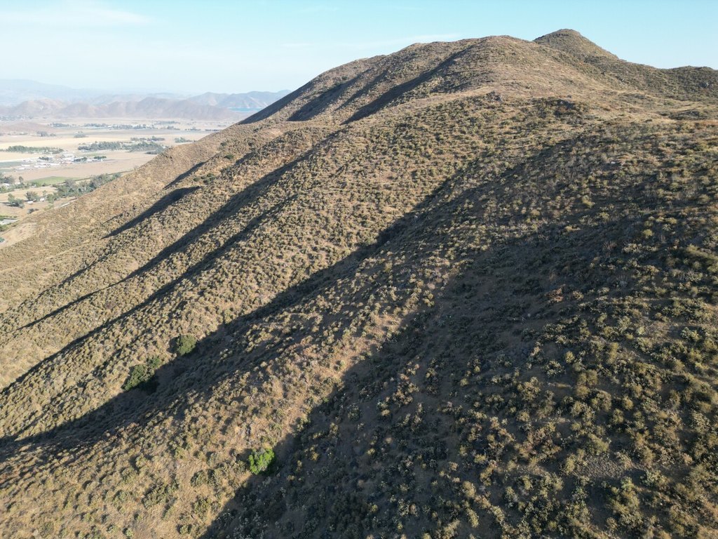 Picture 24