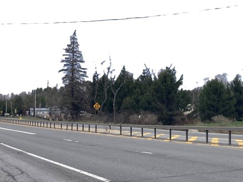 Commercial Development Land with Road Frontage