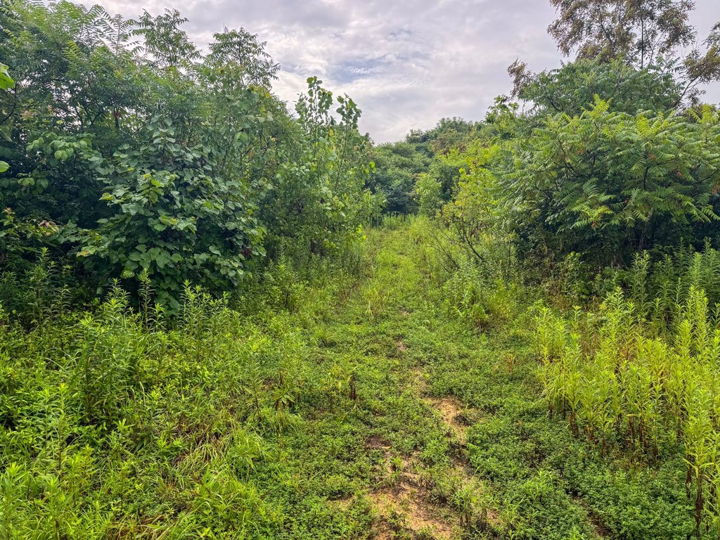 Picture 22