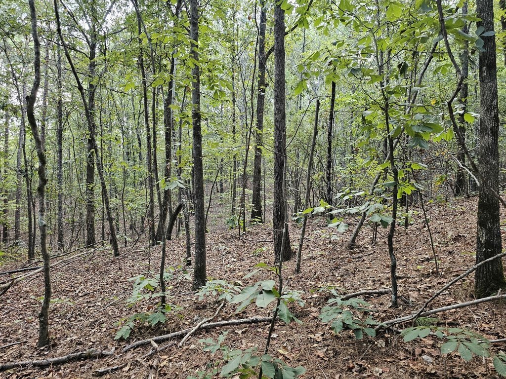 Picture 27