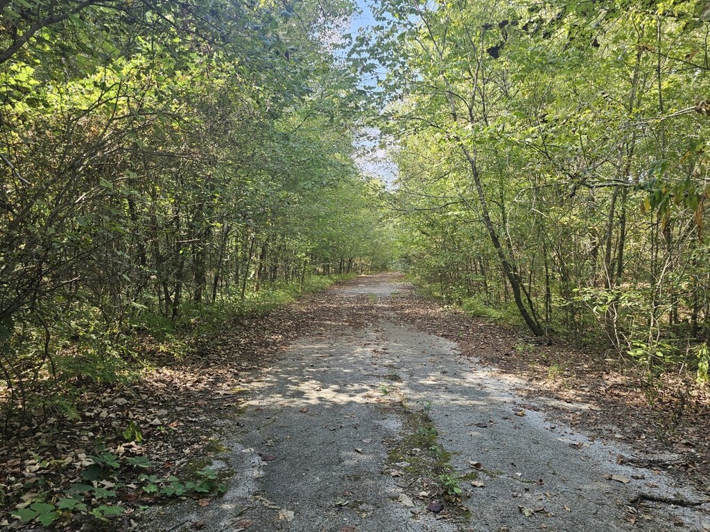 Picture 48