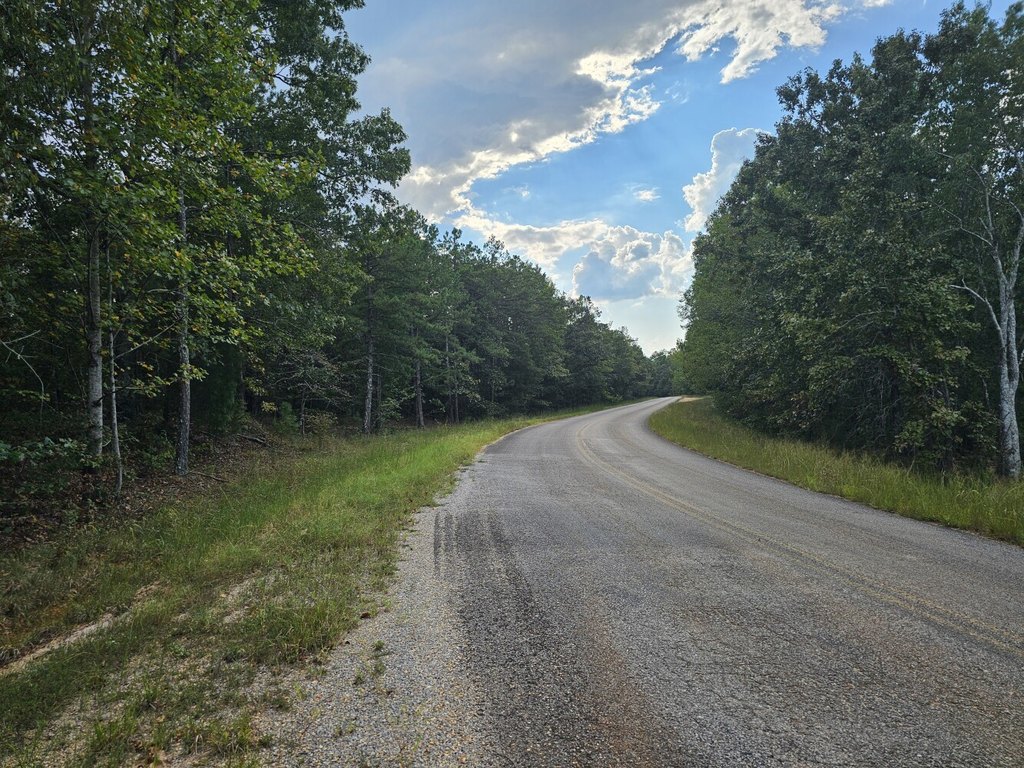 Picture 3