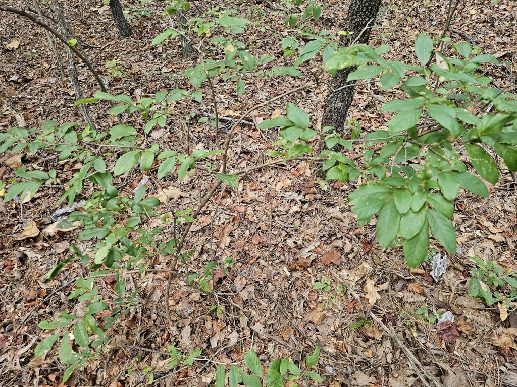 Picture 33